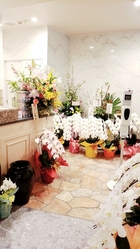 両替町店 3月19日（金）リニュｰアル オｰプン‼