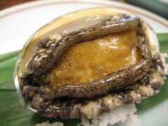 三陸産　えぞ鮑